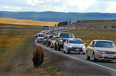 Yellowstone road conditions