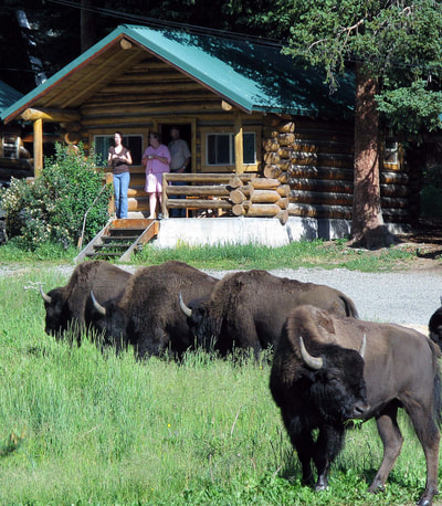 Yellowstone family package lodging