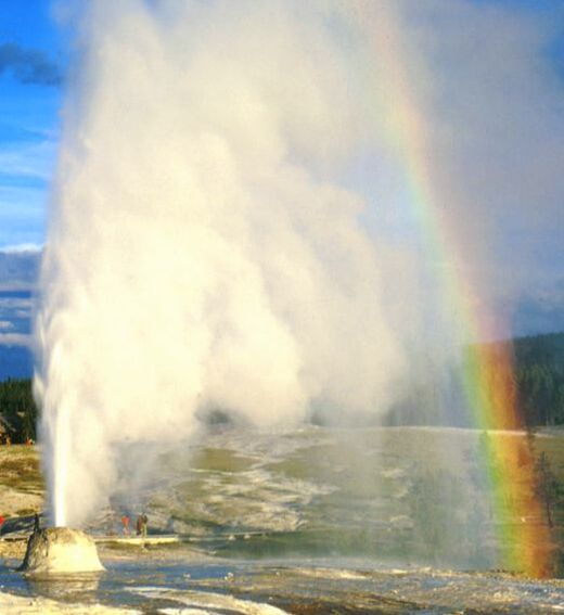 yellowstone tours with kids