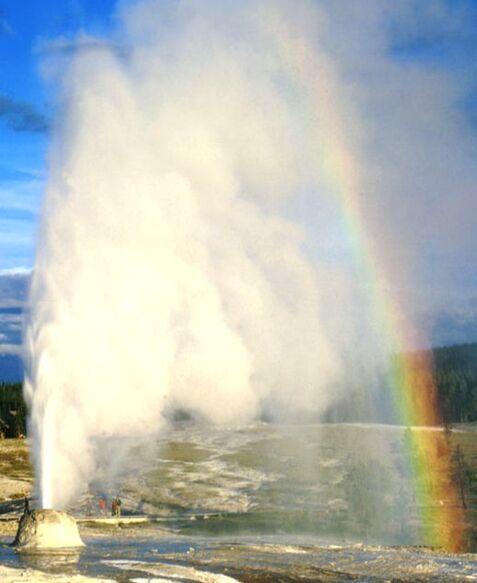 yellowstone one day tours