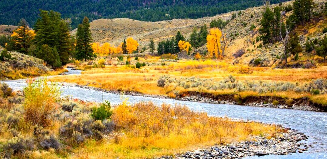 5 day yellowstone fly fishing package