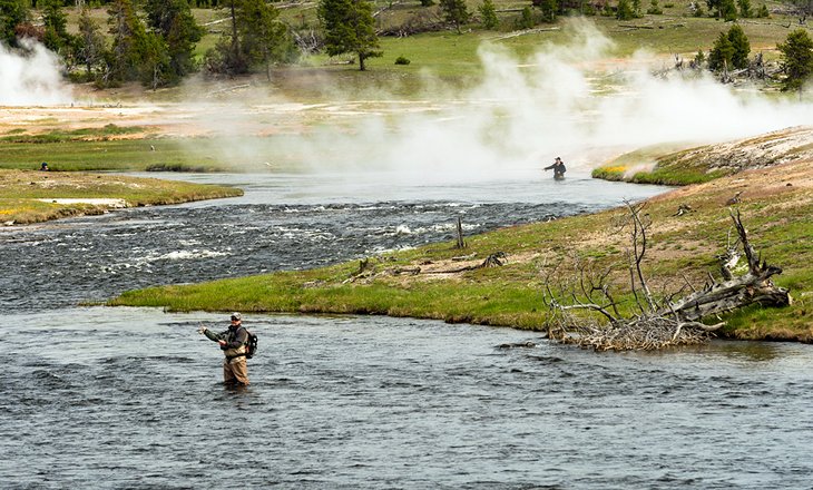 a must experience fly fishing vacation in Yellowstone