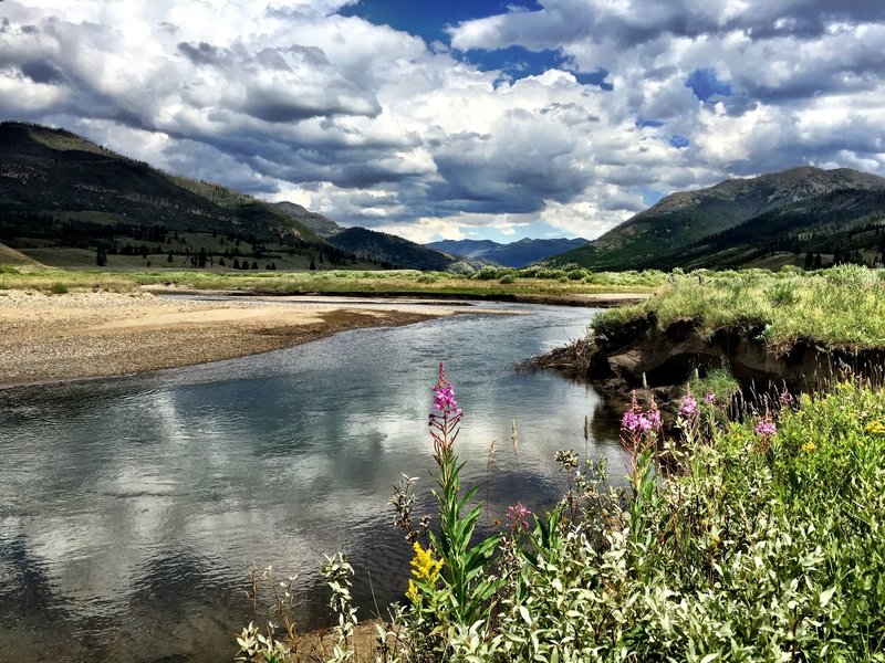best fly fishing vacation in yellowstone 2024