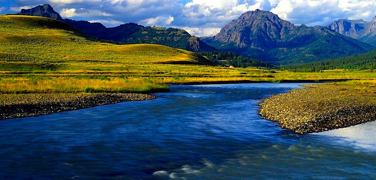 All inclusive Yellowstone fly fishing 